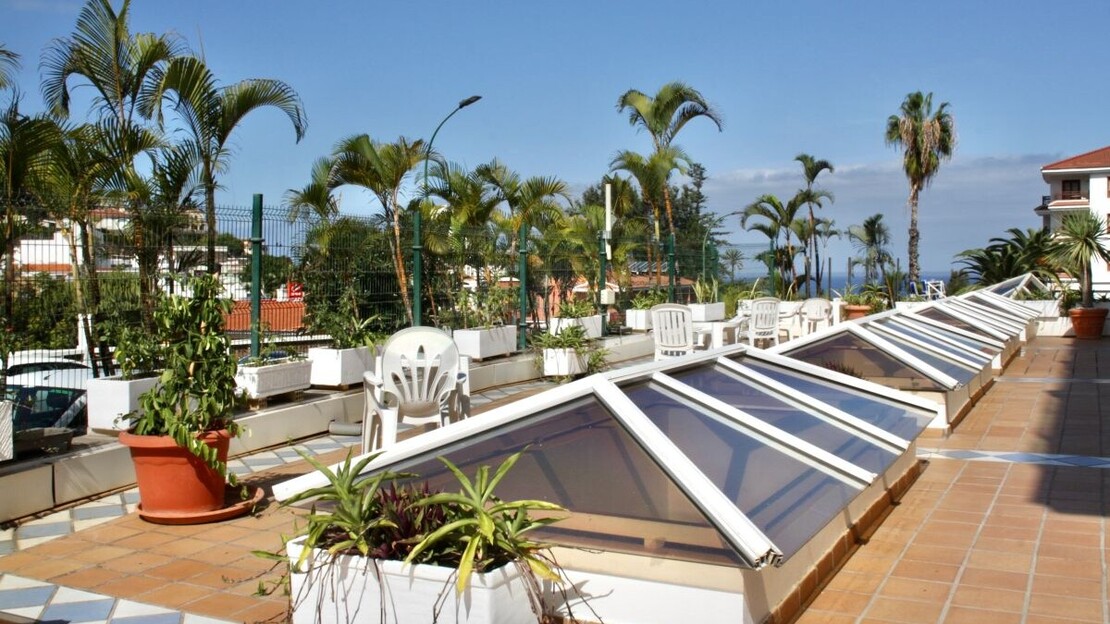 Apartamentos Pez Azul